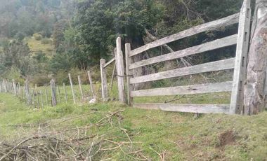 SE VENDE PARCELA DE 5 HECTAREAS, BAHIA MURTA. COMUNA DE RIO IBAÑEZ, REGION DE AYSEN