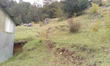 SE VENDE PARCELA DE 5 HECTAREAS, BAHIA MURTA. COMUNA DE RIO IBAÑEZ, REGION DE AYSEN