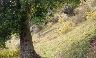 SE VENDE PARCELA DE 5 HECTAREAS, BAHIA MURTA. COMUNA DE RIO IBAÑEZ, REGION DE AYSEN