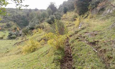 SE VENDE PARCELA DE 5 HECTAREAS, BAHIA MURTA. COMUNA DE RIO IBAÑEZ, REGION DE AYSEN