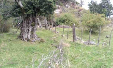 SE VENDE PARCELA DE 5 HECTAREAS, BAHIA MURTA. COMUNA DE RIO IBAÑEZ, REGION DE AYSEN