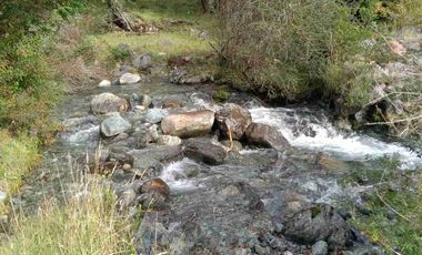 SE VENDE PARCELA DE 5 HECTAREAS, BAHIA MURTA. COMUNA DE RIO IBAÑEZ, REGION DE AYSEN
