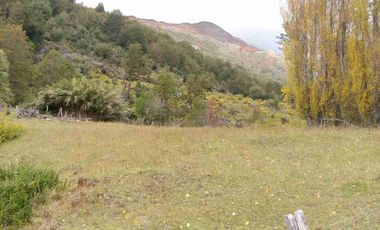 SE VENDE PARCELA DE 5 HECTAREAS, BAHIA MURTA. COMUNA DE RIO IBAÑEZ, REGION DE AYSEN