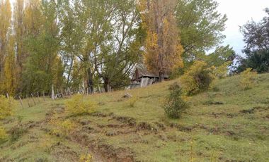SE VENDE PARCELA DE 5 HECTAREAS, BAHIA MURTA. COMUNA DE RIO IBAÑEZ, REGION DE AYSEN