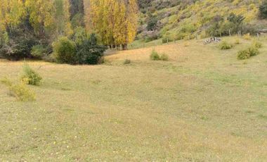 SE VENDE PARCELA DE 5 HECTAREAS, BAHIA MURTA. COMUNA DE RIO IBAÑEZ, REGION DE AYSEN