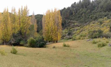 SE VENDE PARCELA DE 5 HECTAREAS, BAHIA MURTA. COMUNA DE RIO IBAÑEZ, REGION DE AYSEN
