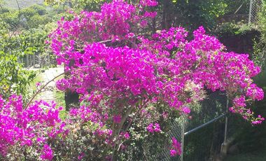 Finca de recreo en Venta VILLA ROCA Copacabana