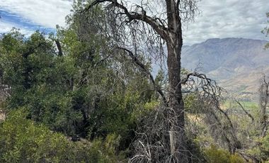 PARCELA – FUNDO SAN FRANCISCO DE LOS ANDES