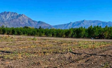 Terrenos en Venta Calle Larga