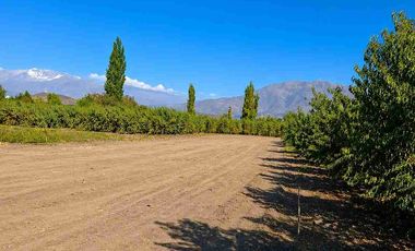 Terrenos en Venta Calle Larga