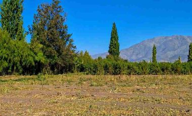 Terrenos en Venta Calle Larga