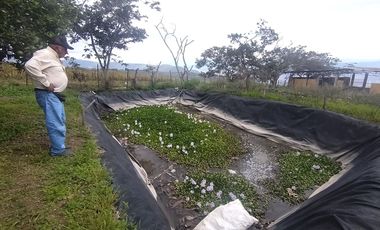 VENDO HERMOSA HACIENDA CON LAGUNA SECTOR Yunguilla