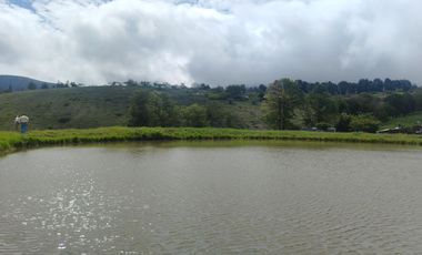 VENDO HERMOSA HACIENDA CON LAGUNA SECTOR Yunguilla