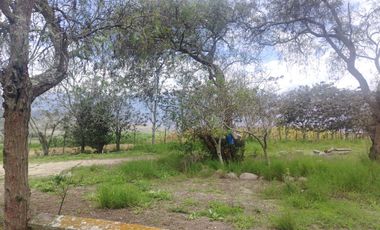 VENDO HERMOSA HACIENDA CON LAGUNA SECTOR Yunguilla