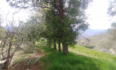 VENDO HERMOSA HACIENDA CON LAGUNA SECTOR Yunguilla