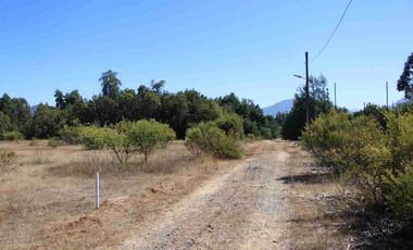 VENTA EXCLUSIVA: Parcela Lote 17 - 5.000 m² con Bosque Nativo Protegido