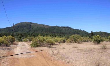 VENTA EXCLUSIVA: Parcela Lote 17 - 5.000 m² con Bosque Nativo Protegido