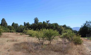 VENTA EXCLUSIVA: Parcela Lote 17 - 5.000 m² con Bosque Nativo Protegido