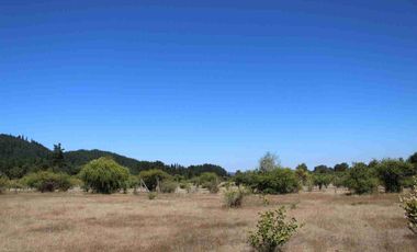 VENTA EXCLUSIVA: Parcela Lote 17 - 5.000 m² con Bosque Nativo Protegido