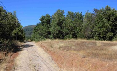 VENTA EXCLUSIVA: Parcela Lote 17 - 5.000 m² con Bosque Nativo Protegido