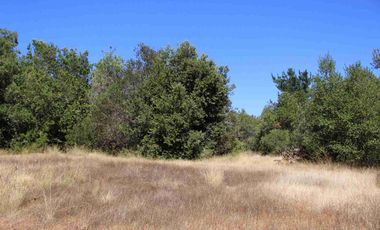 VENTA EXCLUSIVA: Parcela Lote 17 - 5.000 m² con Bosque Nativo Protegido