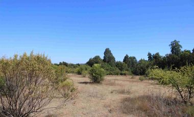 VENTA EXCLUSIVA: Parcela Lote 17 - 5.000 m² con Bosque Nativo Protegido