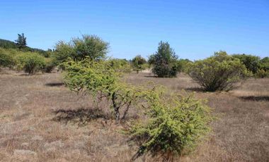 VENTA EXCLUSIVA: Parcela Lote 17 - 5.000 m² con Bosque Nativo Protegido