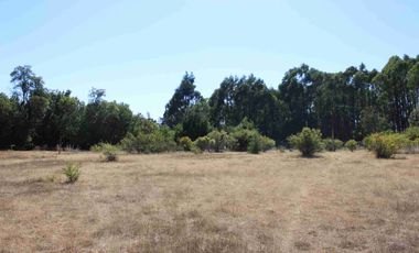 VENTA EXCLUSIVA: Parcela Lote 17 - 5.000 m² con Bosque Nativo Protegido