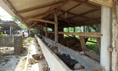 Dijual Rumah Lokasi di Terbanggi Besar Lampung Tengah