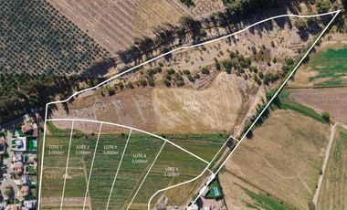 Parcelas de 5.000 m² en Rinconada: Extensión Urbana con Frente a Carretera San Martín con Auco