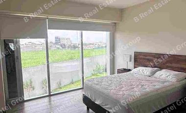 RENTA DEPARTAMENTO AMUEBLAOD