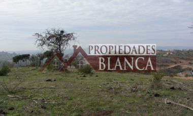 PARCELA EXCELENTE VISTA  PEÑABLANCA CAJON DEL LEBU