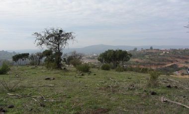 PARCELA EXCELENTE VISTA  PEÑABLANCA CAJON DEL LEBU