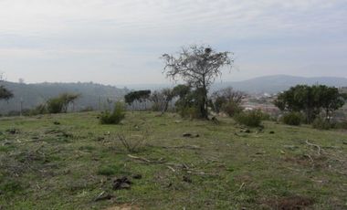 PARCELA EXCELENTE VISTA  PEÑABLANCA CAJON DEL LEBU