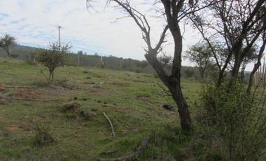 PARCELA EXCELENTE VISTA  PEÑABLANCA CAJON DEL LEBU