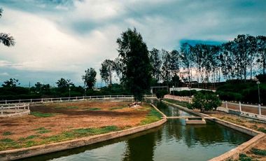 SE VENDE CASA DE CAMPO DE 1000 M2 EN TIERRA SUR, CAÑETE