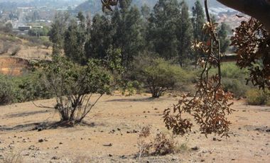 PARCELA SECTOR  EL CARMEN PEÑABLANCA