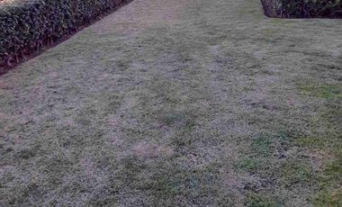 VENTA EXCLUSIVO DEPARTAMENTO VIVENZZA GRAND LOMAS VERDES SEXTA SECCIÓN