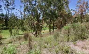 Sitio en venta 4.150m2c/u sector Chuquipata (UNAE) vía Azogues