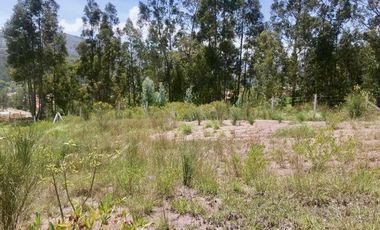 Sitio en venta 4.150m2c/u sector Chuquipata (UNAE) vía Azogues