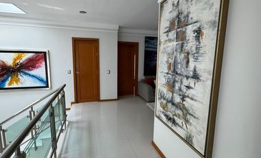 Casa Única en Esquina Frente a Parque, Amueblada | 4 Recámaras | Terraza con Asador & Jacuzzi | en Jardín Real