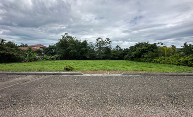 Lote en la vereda caney alto en restrepo-meta