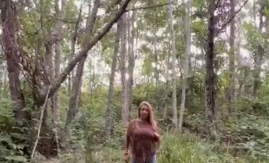 VENDEMOS TERRENO EN LAS GAVIOTAS
