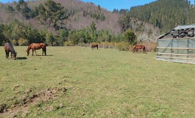 VENDEMOS PARCELA EN ARIQUE PISHUINCO CHICO, frente escuela a 1.5 km