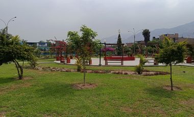 🏡 PRECIO DE OCASIÓN ¡¡ VENTA DE CASA 3 PISOS CARABAYLLO CERCA AL METROPOLITANO