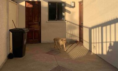 ARRIENDO AMPLIA CASA  EN  VILLA ALEMANA , LOS TORREONES DE PEÑABLANCA. 5d,3b, E.
