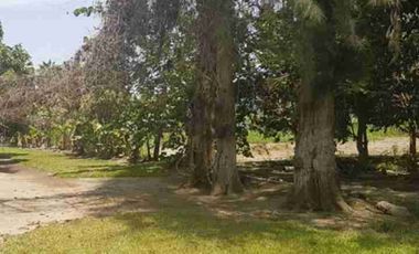 Se Vende Lindo FUNDO en LURIN.