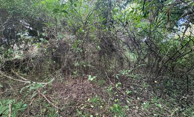 CASA A REFACCIONAR SOBRE TERRENO DE 1100 METROS A PASOS DE AV LUJÁN IDEAL INVERSIÓN SANTO TOMÉ