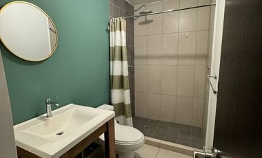 🏢 Departamento en Renta Zona Centro Torre Aluna, Monterrey, N.L.