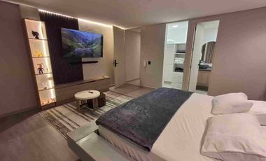 arriendo Apartamento Amoblado